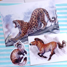 Load image into Gallery viewer, November 2022 Monthly Print + Sticker: Amur Leopard