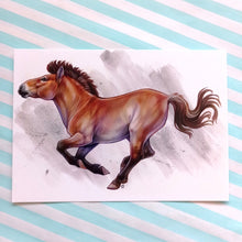 Load image into Gallery viewer, November 2022 Monthly Print + Sticker: Amur Leopard