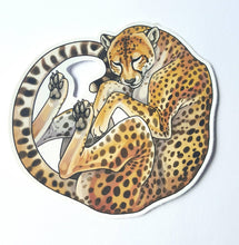 Load image into Gallery viewer, VOL.2 Sleepy big cat sticker pack - 5 vinyl animal stickers