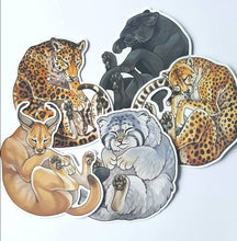 Load image into Gallery viewer, VOL.2 Sleepy big cat sticker pack - 5 vinyl animal stickers