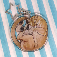 Load image into Gallery viewer, Mountain Lion sleepy acrylic keyring
