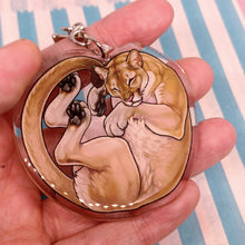 Load image into Gallery viewer, Mountain Lion sleepy acrylic keyring
