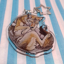 Load image into Gallery viewer, Coyote sleepy acrylic keyring
