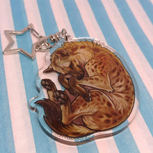 Load image into Gallery viewer, Spotted Hyena sleepy acrylic keyring
