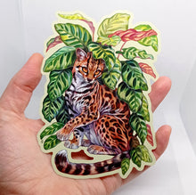 Load image into Gallery viewer, Large vinyl sticker: Peacock Calathea
