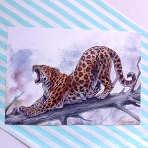 November 2022 Monthly Print + Sticker: Amur Leopard